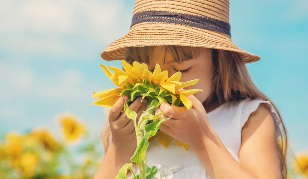little girl smelling a sunflower
