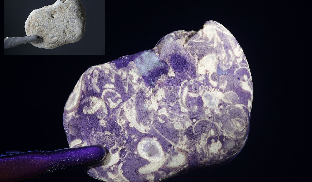 5 Uses for UV Light - Cool Gross Weird