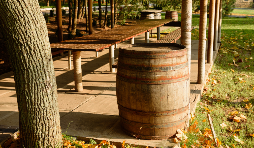 Wine barrels in wine-vaults in order
