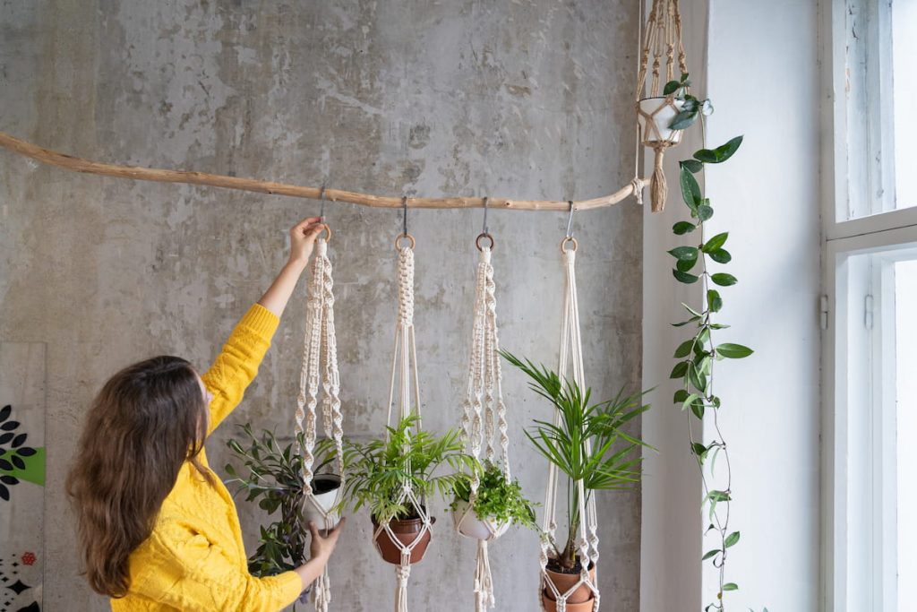 Woman gardener holding macrame plant hanger with houseplant over grey wall