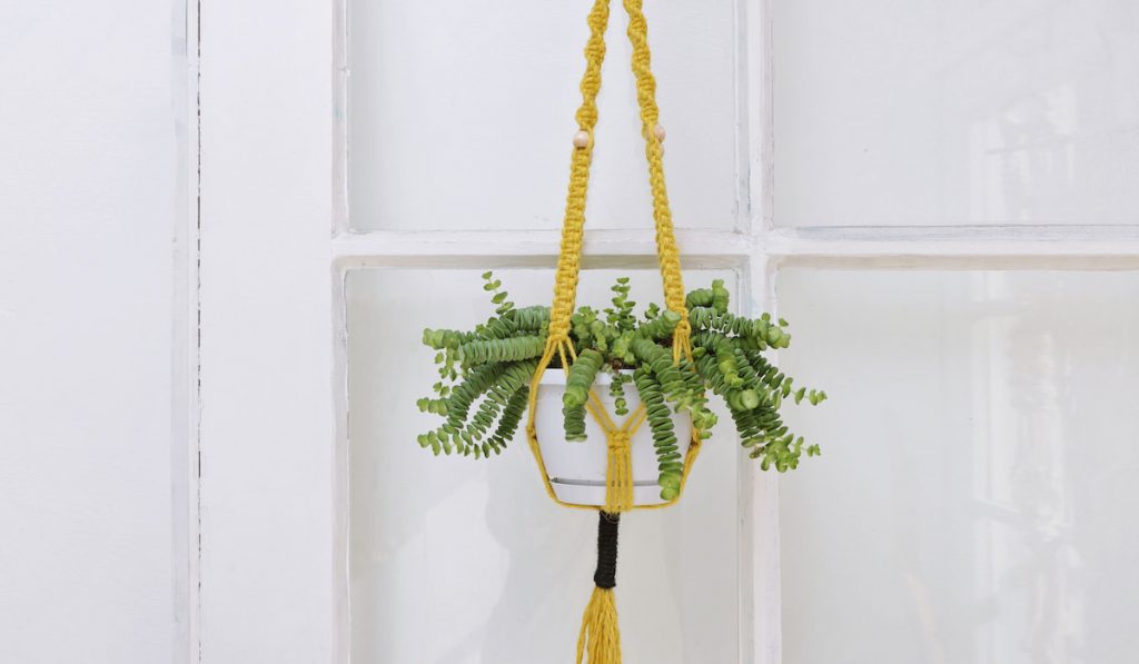 DIY decorative plant holder hanging on the wall against white wall