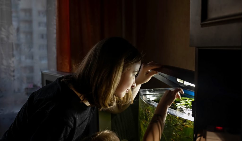 A young woman and a little girl feeding fish in a home aquarium