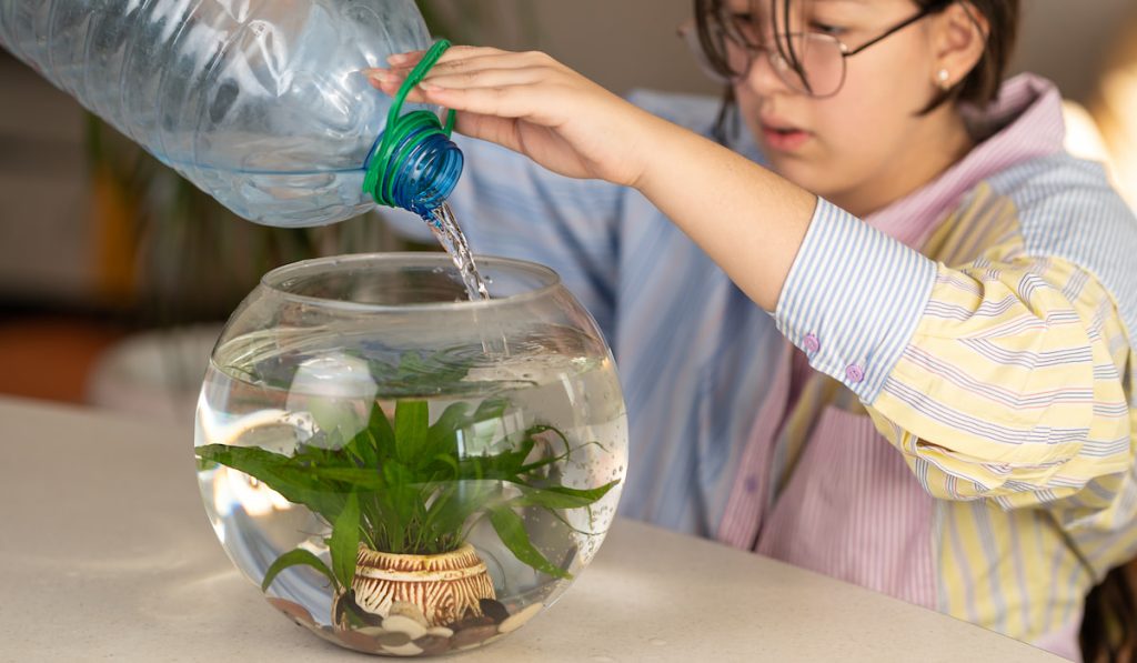 Girl pouring water from the pet store in her aquarium at home