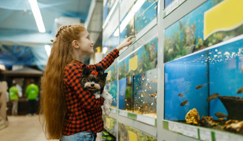 Little girl with puppy choosing fishes in aquarium in pet store